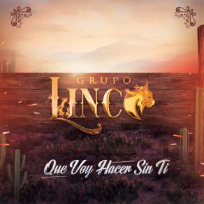 Download track Te Vieron Llorar Grupo Lince