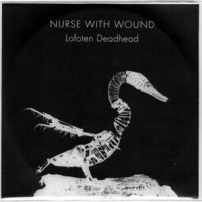 Download track July 8 Nurse With Wound