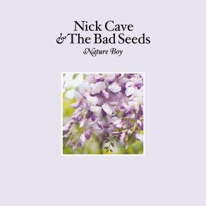 Download track Nature Boy (Edit) Nick Cave