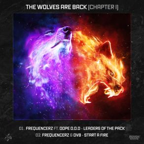 Download track Leaders Of The Pack (Extended Mix) FrequencerzDope D. O. D.