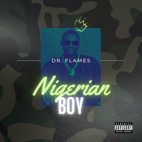 Download track Never Dr Flames