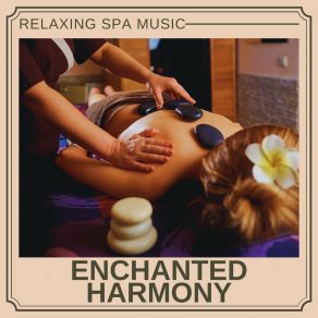 Download track Calm Cascades Relaxing Spa Music