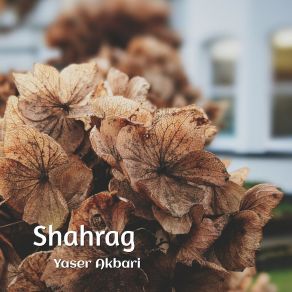 Download track Shahrag Yaser Akbari