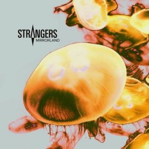 Download track Fear Of Nothing Strangers