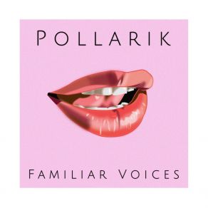 Download track One In A Million PollarikSteffi B