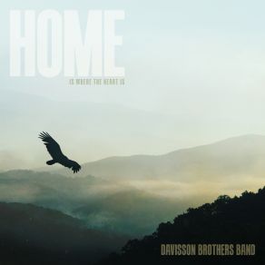 Download track Wild And Wonderful Davisson Brothers Band