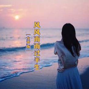 Download track 风风雨雨过半生 (伴奏版) 何仙子