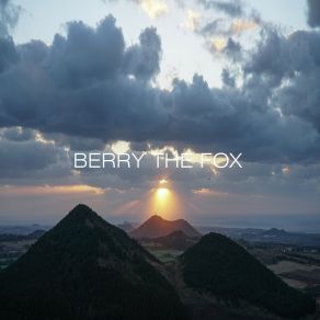 Download track Vinyl Berry The Fox