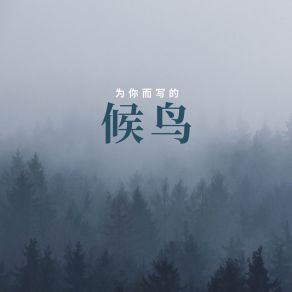 Download track 候鸟 语音表哥