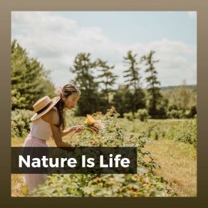 Download track Calm Nature Moments, Pt. 17 Nature Soundscapes