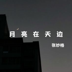 Download track 月亮在天边 (伴奏) 张妙格