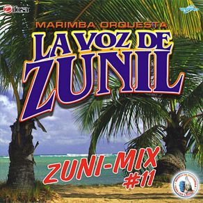 Download track Zuni - Mix Duranguense 1: No Hieras Mi Vida / Dame Tu Amor / Fué Su Amor / Qué Chulada De Mujer Marimba Orquesta La Voz De Zunil