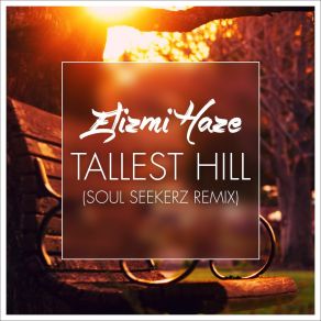 Download track Tallest Hill (Soul Seekerz Remix - Radio Edit) Elizmi Haze