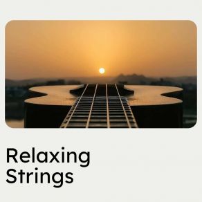 Download track Slow Peaceful Guitar Guitar Calm