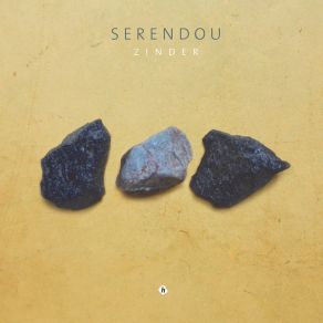 Download track Zinder Serendou