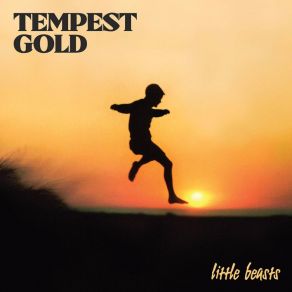 Download track Night After Night Tempest Gold