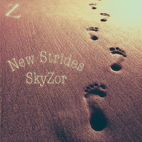 Download track Above The Skys (Extended) SkyZorExtended