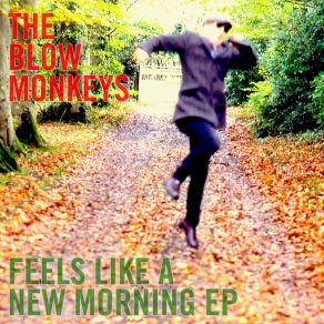 Download track Hold Everything Dear The Blow Monkeys