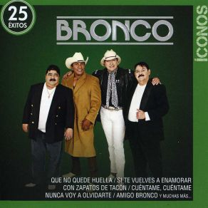 Download track Necesito Decirtelo Los Cardenales De Nuevo Leon