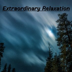 Download track Mindful Meditation Relajación