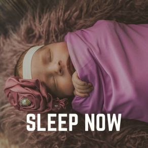 Download track Peaceful Nap Time Music For Nursery, Pt. 64 BabySleepDreams