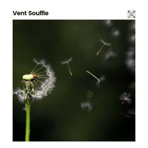 Download track Bruit Brun De Relaxation Ultime, Pt. 17 Bruit Blanc Dormir