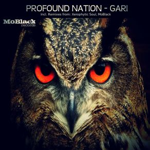 Download track Gari (MoBlack Magic Touch Mix) Profound Nation