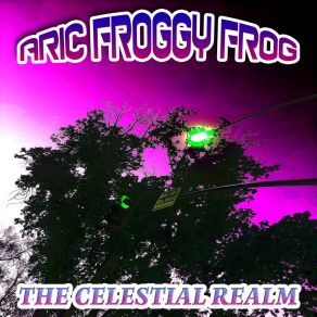 Download track Bachelor Pad Aric Froggy Frog