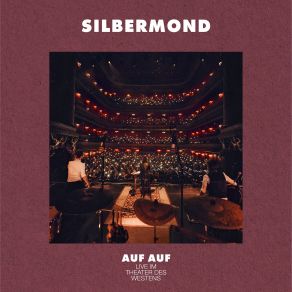 Download track Durch Die Nacht (Live Im Theater Des Westens) Silbermond