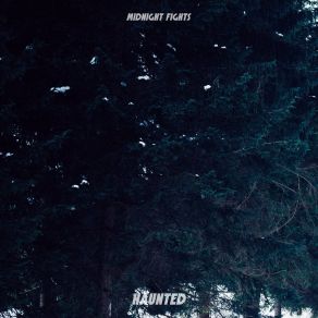 Download track Natural Wonders Midnight Fights