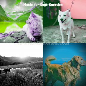 Download track Excellent Ambiance For Sleeping Dogs Music For Dogs Curation