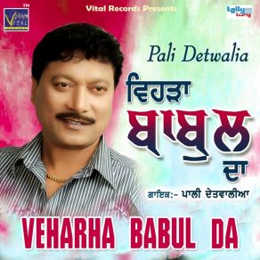 Download track Dhee Teri Tang Babla Pali Detwalia