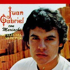 Download track Te Quise Olvidar Juán Gabriel