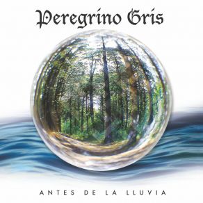 Download track Bye-Bye Peregrino Gris