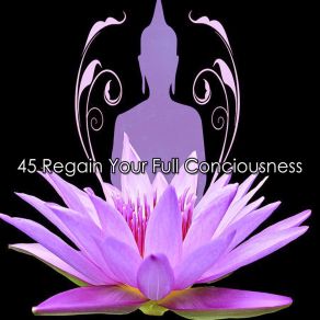 Download track Stillness Massage Therapy Music