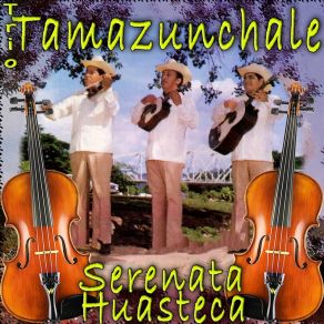 Download track La Carinosa Trío Tamazunchale