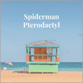 Download track Safe'n'sound Spiderman Pterodactyl