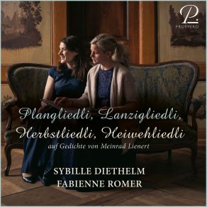 Download track Im Schatte Sybille Diethelm, Fabienne Romer