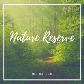 Download track Desert Sands Nic Balogo