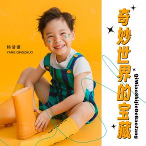 Download track 奇妙世界的宝藏 (伴奏) 杨清濯