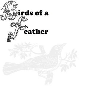 Download track To Mock A Killing Bird Birds Of A Feather