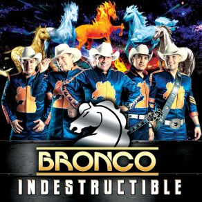 Download track Superheroe Bronco!