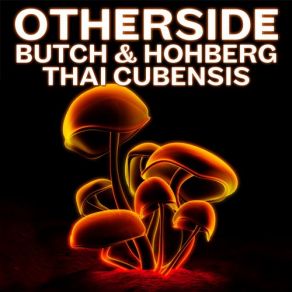 Download track Thai Cubensis (Original Mix) Butch Hohberg