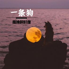 Download track 孤独的好像一条狗 不许熬夜了