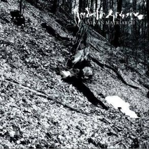 Download track Our Mother Disgraced Dendritic Arbor