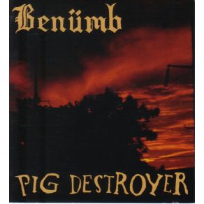 Download track Stealing From The Blind Pig DestroyerBenümb