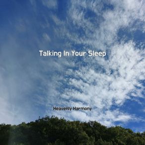 Download track Talking In Your Sleep Heavenly Harmony