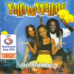 Download track Good Vibrations - Playa Remix YellowMellowGood Vibrations