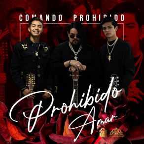 Download track Disponible Para Mí Comando Prohibido