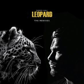 Download track Leopard (Fused Remix) Daniel HallFused